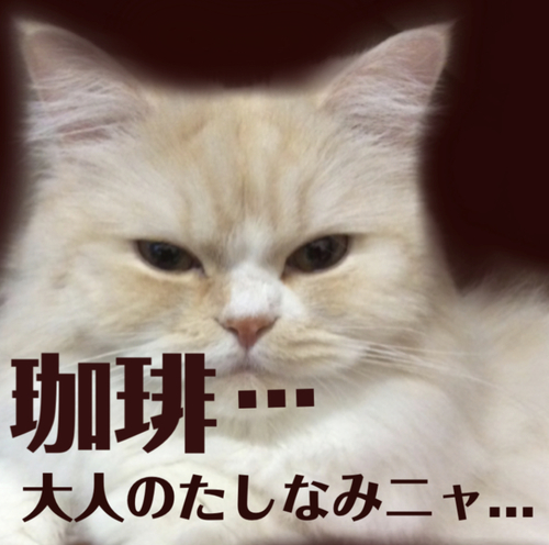 f:id:kurerin:20210306045731j:plain