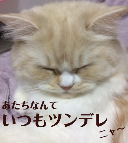 f:id:kurerin:20210307020424j:plain
