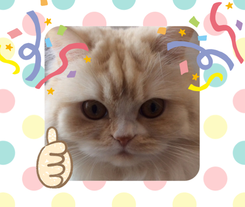 f:id:kurerin:20210307074355j:plain