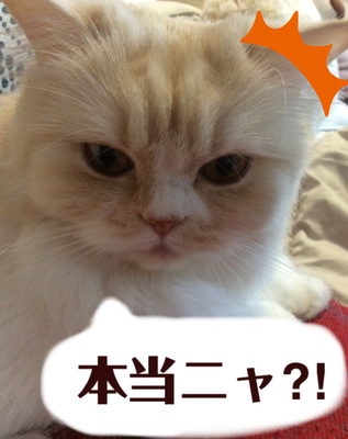 f:id:kurerin:20210309193506j:plain