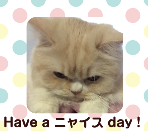 f:id:kurerin:20210311053454j:plain