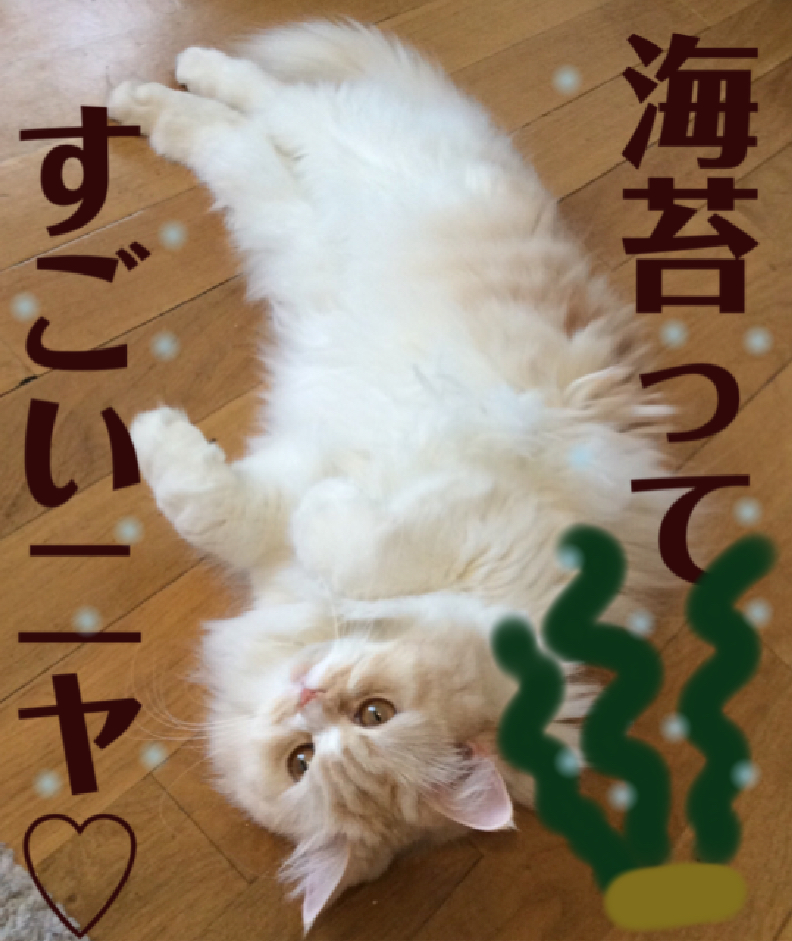f:id:kurerin:20210311194520j:plain