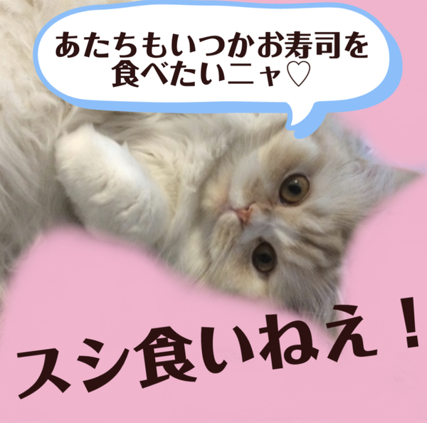f:id:kurerin:20210329082908j:plain