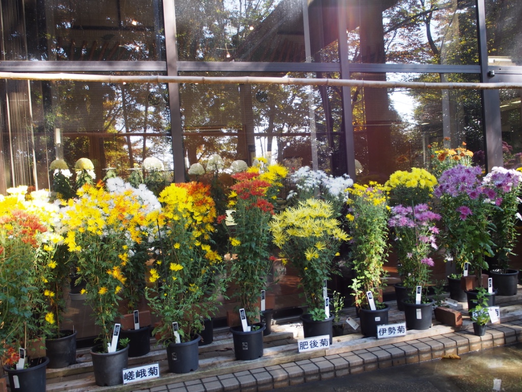 f:id:kuresennto3:20161123102124j:plain f:id:kuresennto3:20161123102124j:plain