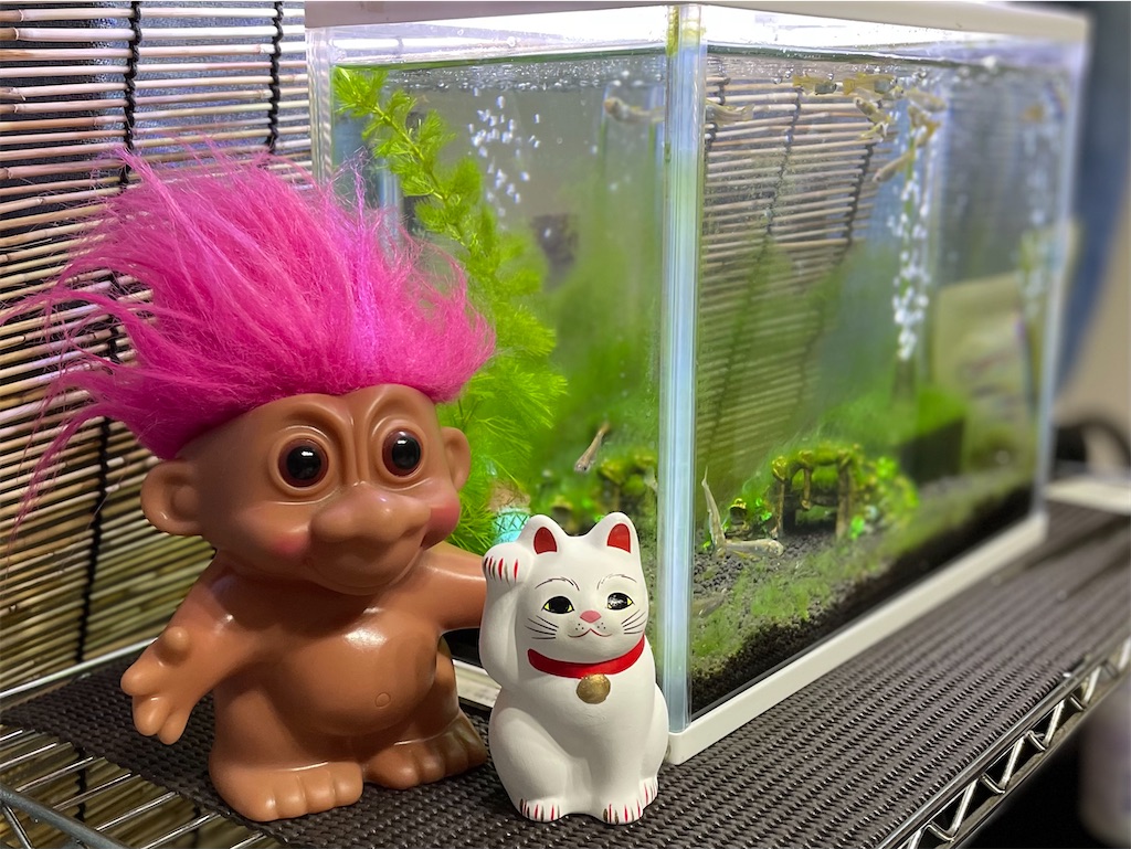 f:id:kuresuke:20210103193539j:image