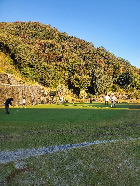 f:id:kuri-de-kuri:20241118041755j:image f:id:kuri-de-kuri:20241118041755j:image