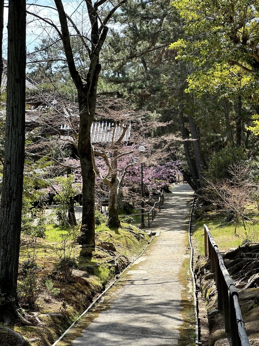 Amazon.co.jp: 神徳俗解 写本 宝永4 神道 神社 天皇 祝詞 修験道