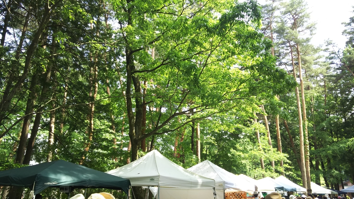 駒ヶ根くらふてぃあ杜の市ありがとうございました うつわと旅する
