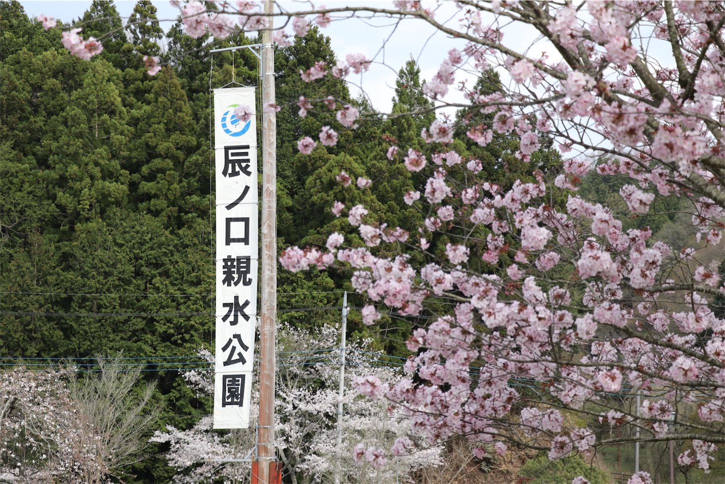 f:id:kuribox:20170418200557j:image