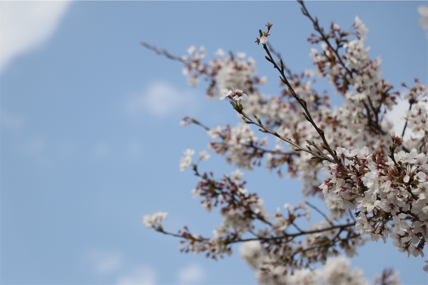 f:id:kuribox:20170418200822j:image