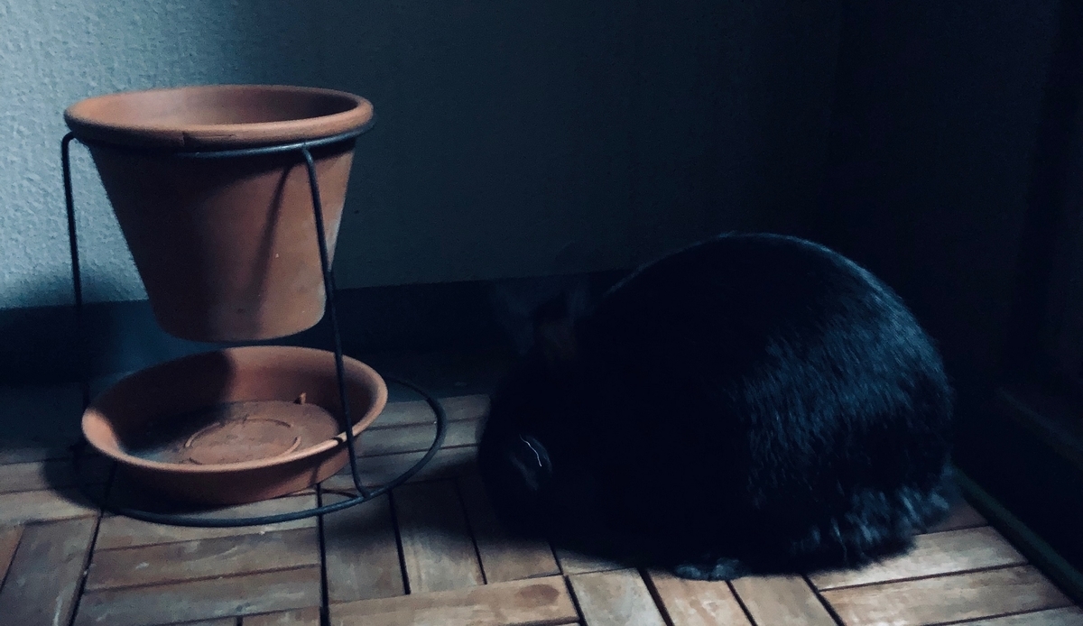 f:id:kuriedits:20190906210706j:plain f:id:kuriedits:20190906210706j:plain