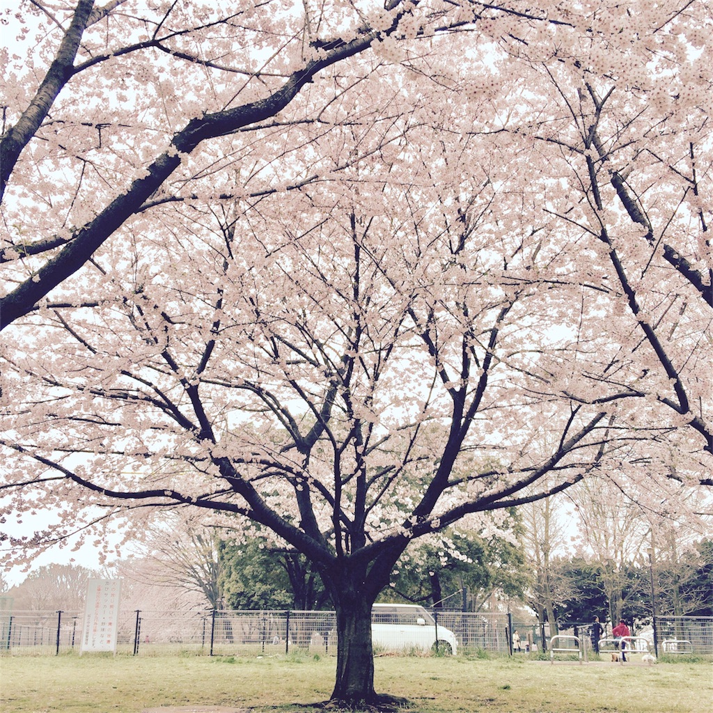 f:id:kuriguri:20170410083130j:image f:id:kuriguri:20170410083130j:image