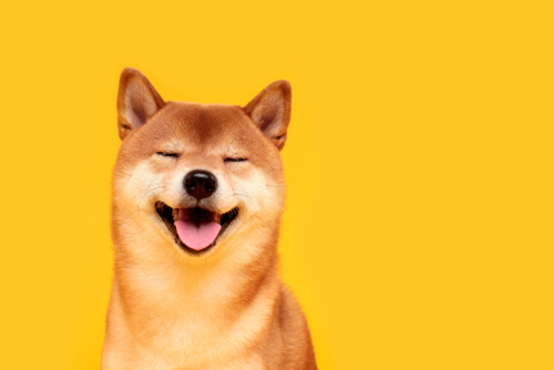 f:id:kuriharamasashi:20210801184033j:plain