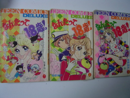 f:id:kurikuri-boy:20090210060137j:image