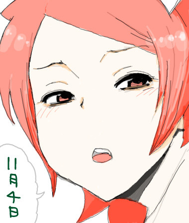 f:id:kurikuri-boy:20091101224642j:image