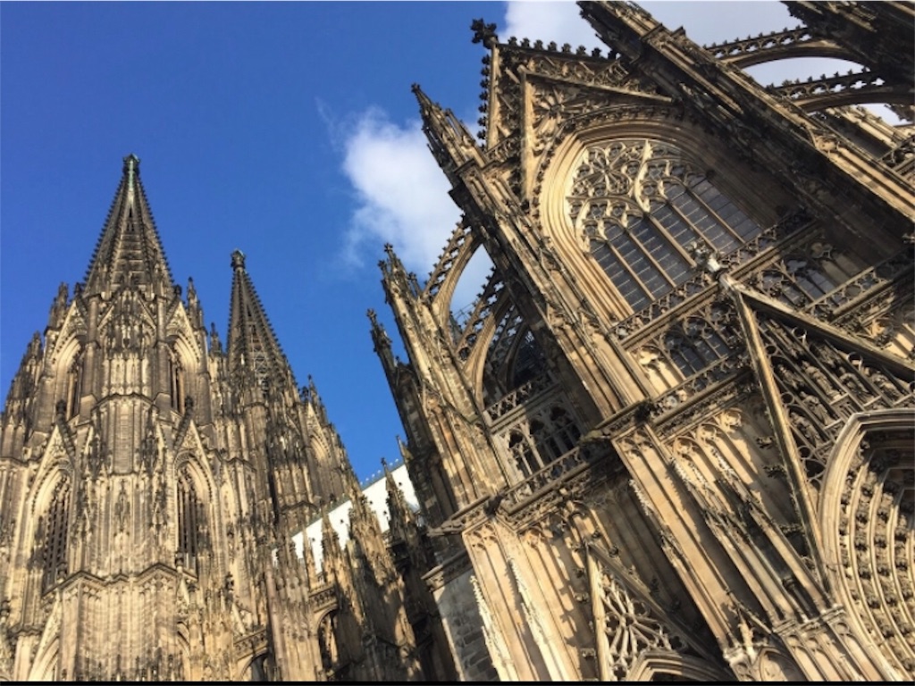 f:id:kurikuri421:20190226204220j:image f:id:kurikuri421:20190226204220j:image