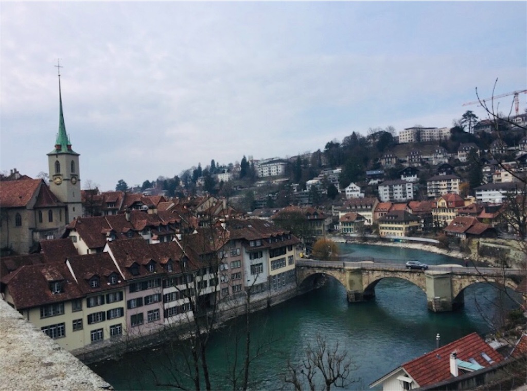 f:id:kurikuri421:20190302003403j:image