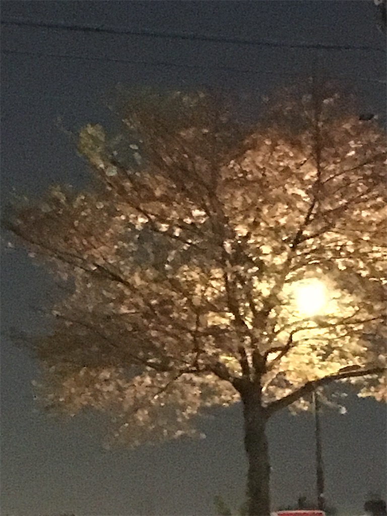 f:id:kurimanjyu:20200409120512j:image f:id:kurimanjyu:20200409120512j:image