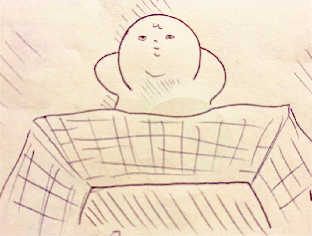 f:id:kurimanjyu:20201220225951j:image