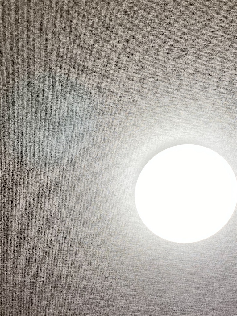 f:id:kurimanjyu:20201221073013j:image