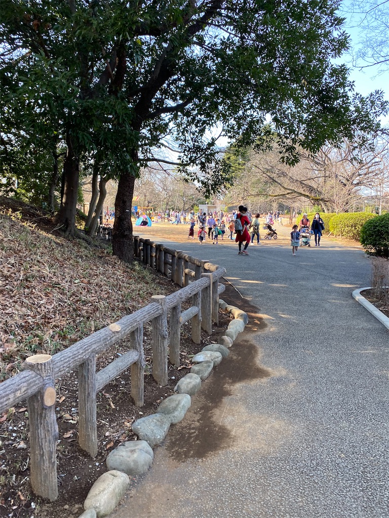 f:id:kurimanjyu:20210314190622j:image