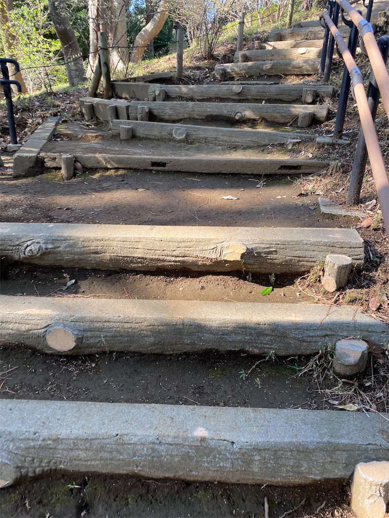 f:id:kurimanjyu:20210314195552j:image