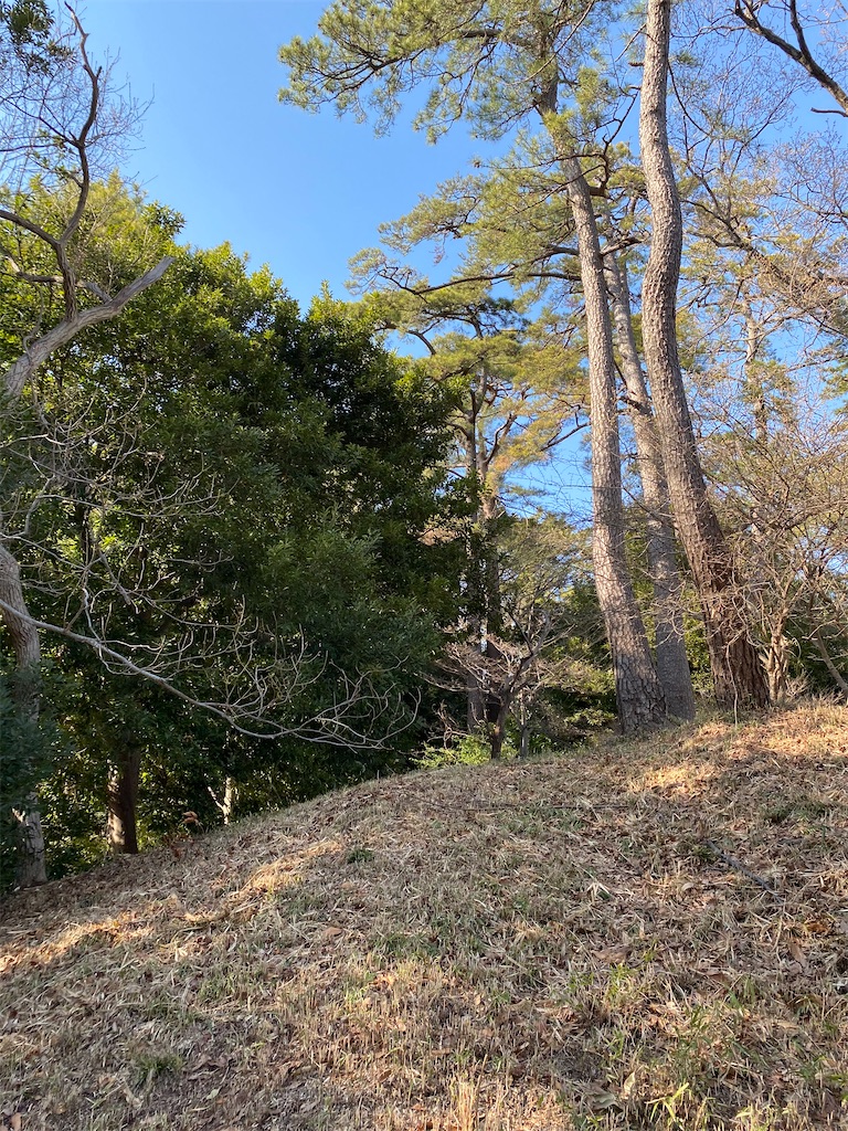 f:id:kurimanjyu:20210314210437j:image