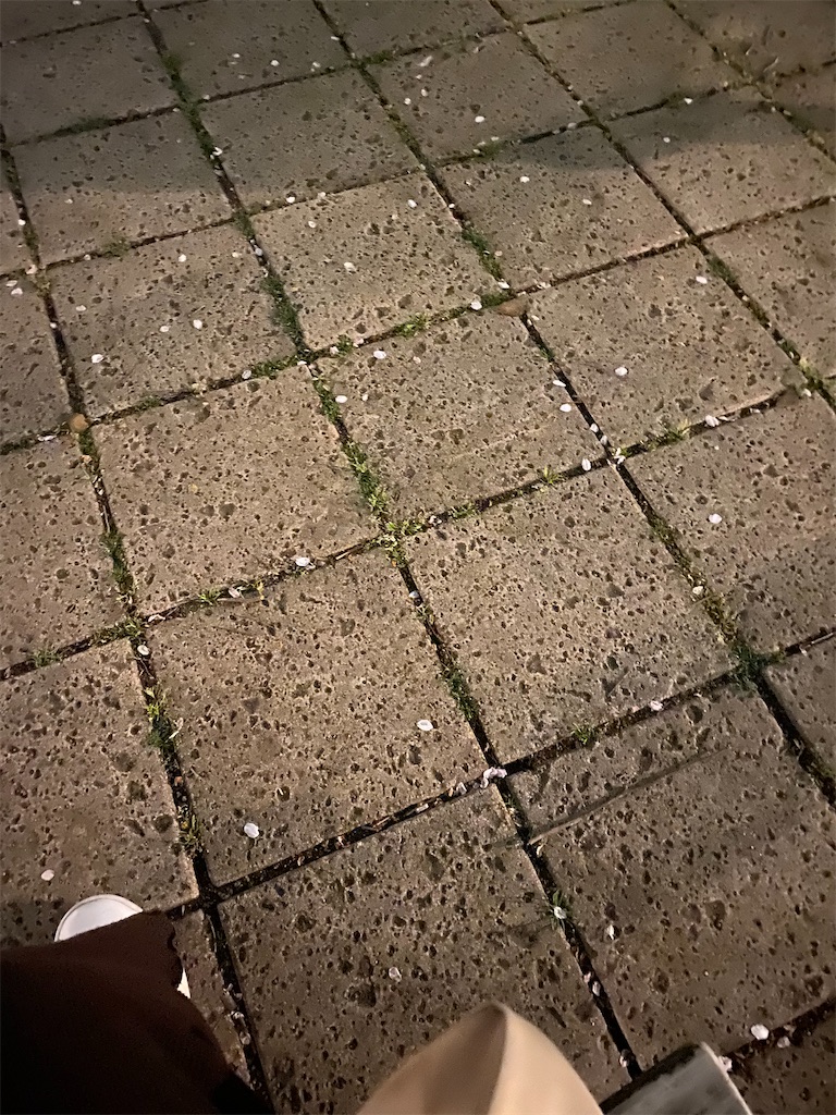 f:id:kurimanjyu:20210330224435j:image