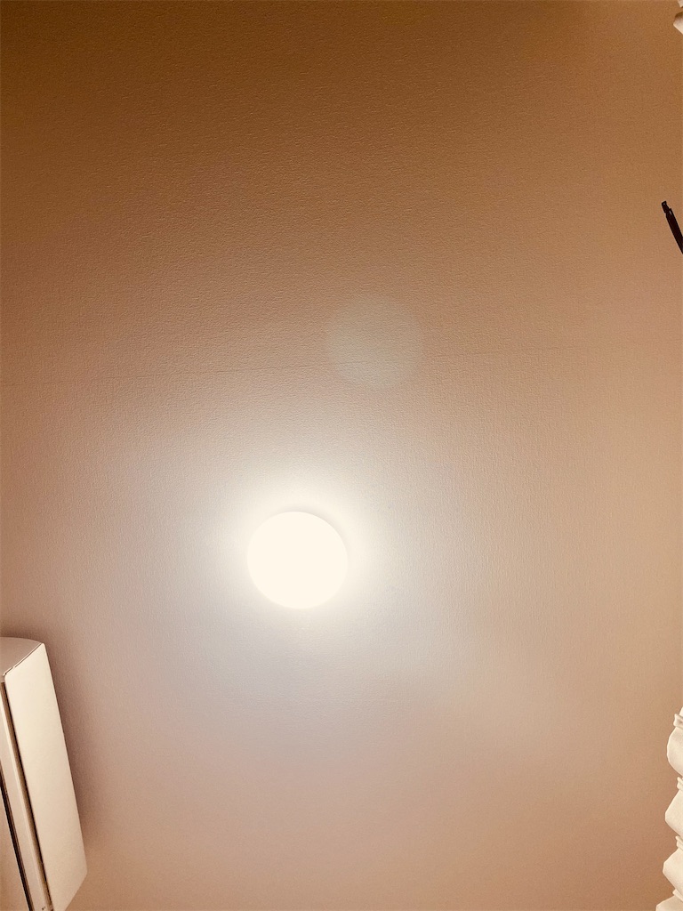 f:id:kurimanjyu:20210331225824j:image