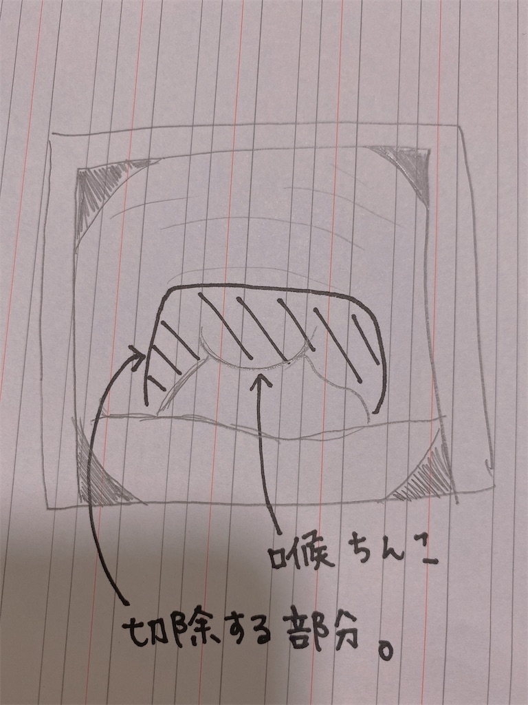 f:id:kurimanjyu:20210723164005j:image f:id:kurimanjyu:20210723164005j:image