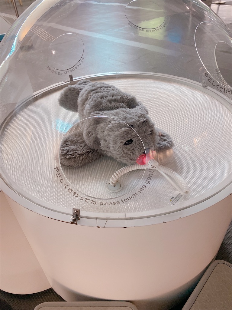 f:id:kurimanjyu:20220116205829j:image