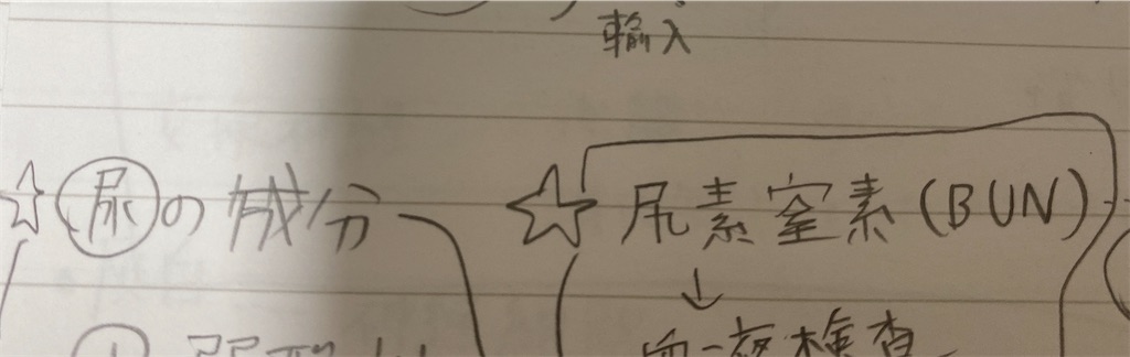 f:id:kurimanjyu:20220331205221j:image