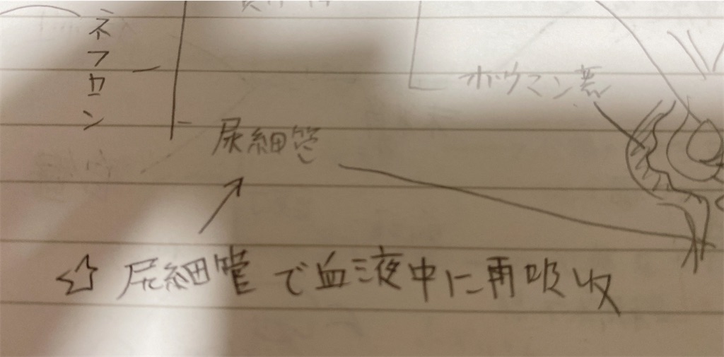 f:id:kurimanjyu:20220331205228j:image