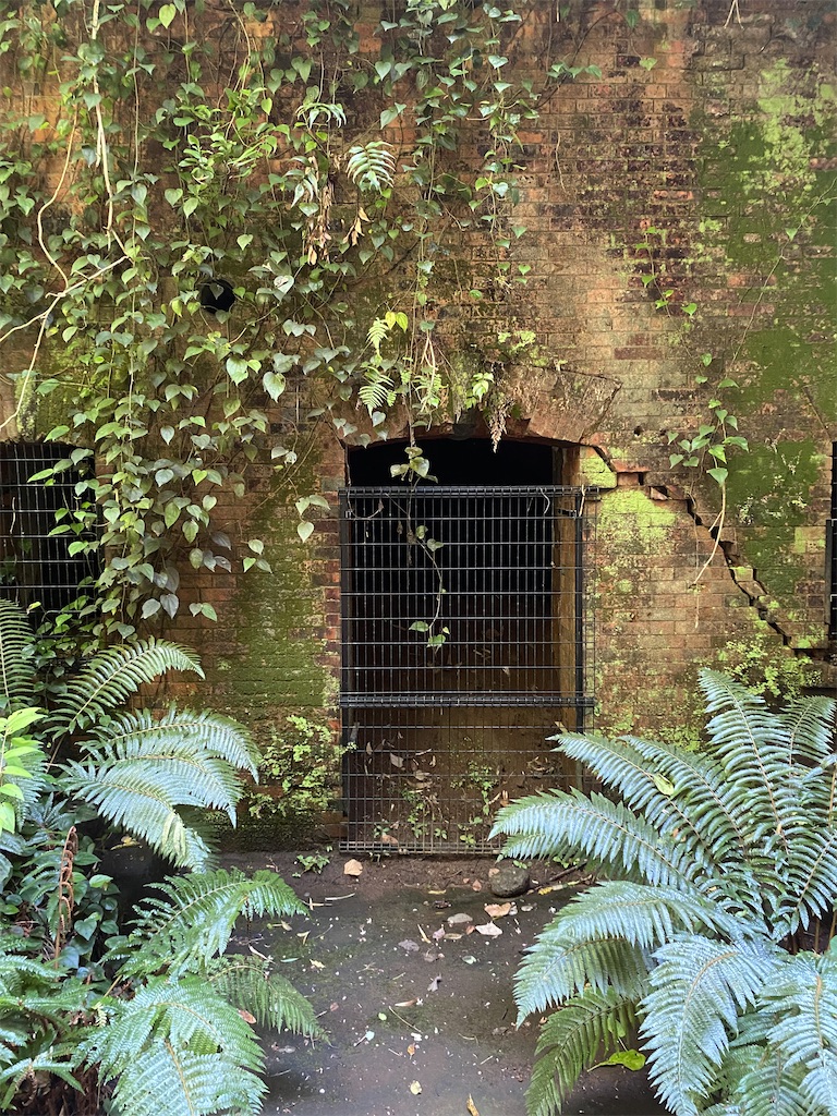 f:id:kurimanjyu:20220926092347j:image