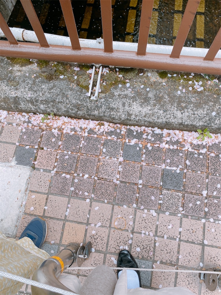 f:id:kurimanjyu:20230403224530j:image