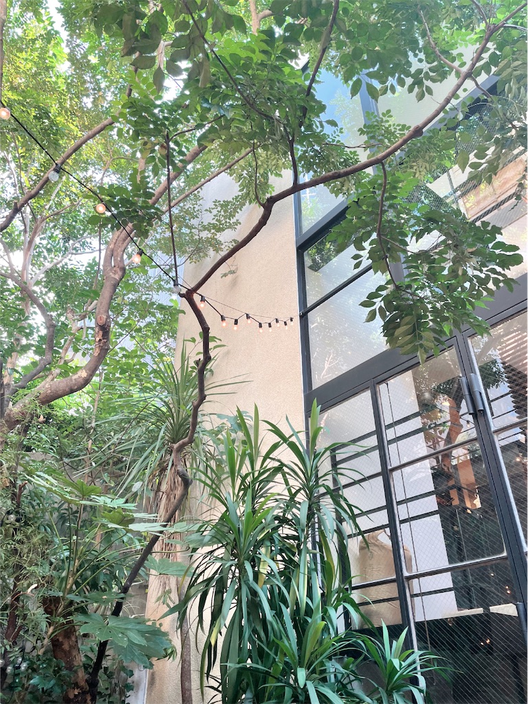 f:id:kurimonakasan:20220930155923j:image