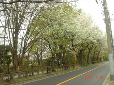 f:id:kurimotoah:20110410110021j:image f:id:kurimotoah:20110410110021j:image