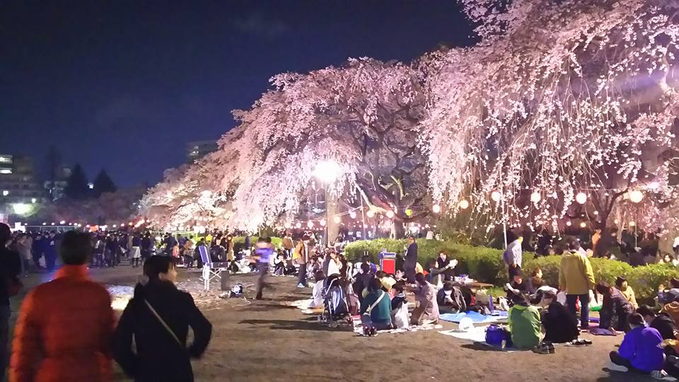 f:id:kurineko1989:20170418003057j:plain