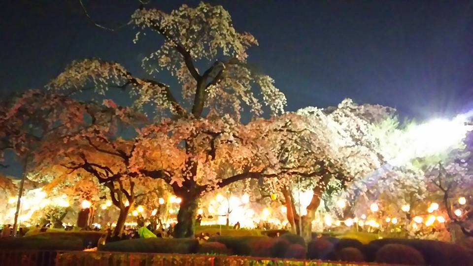 f:id:kurineko1989:20170418003136j:plain