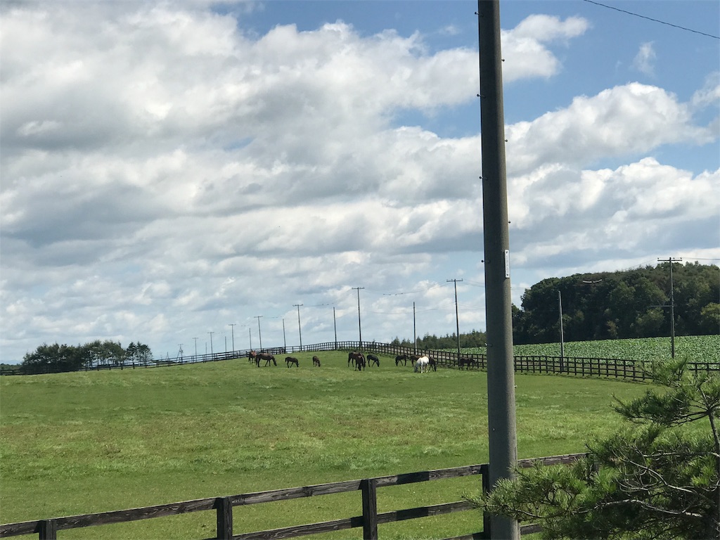 f:id:kurinikomi-hara:20171002184819j:image