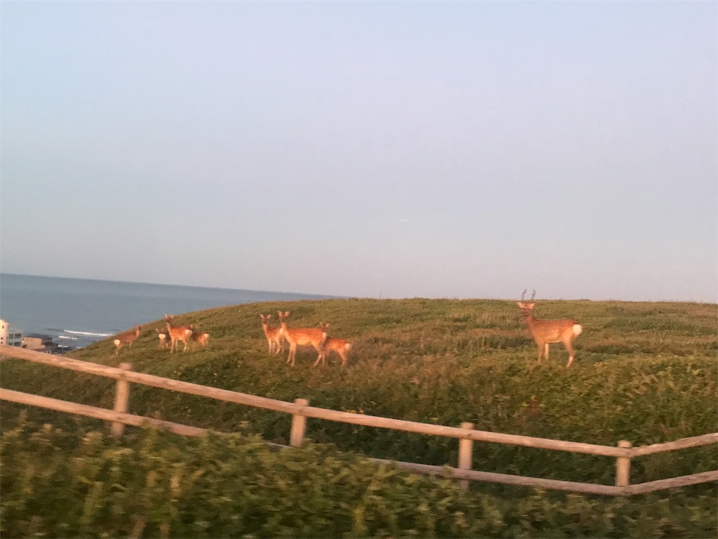 f:id:kurinikomi-hara:20171003162213j:image