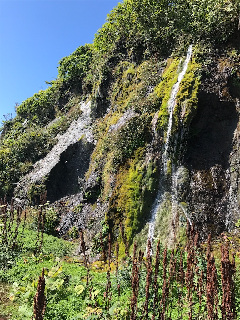 f:id:kurinikomi-hara:20171003174935j:image