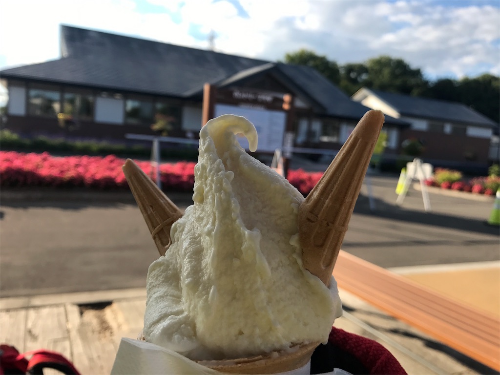 f:id:kurinikomi-hara:20171003183319j:image