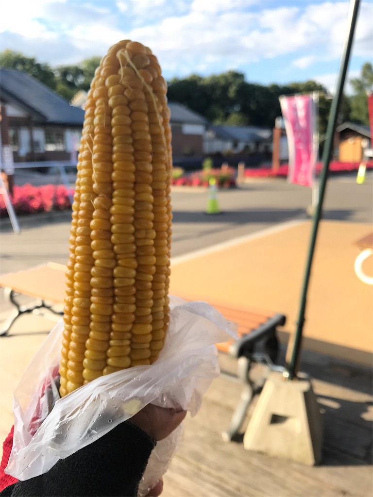 f:id:kurinikomi-hara:20171003183541j:image