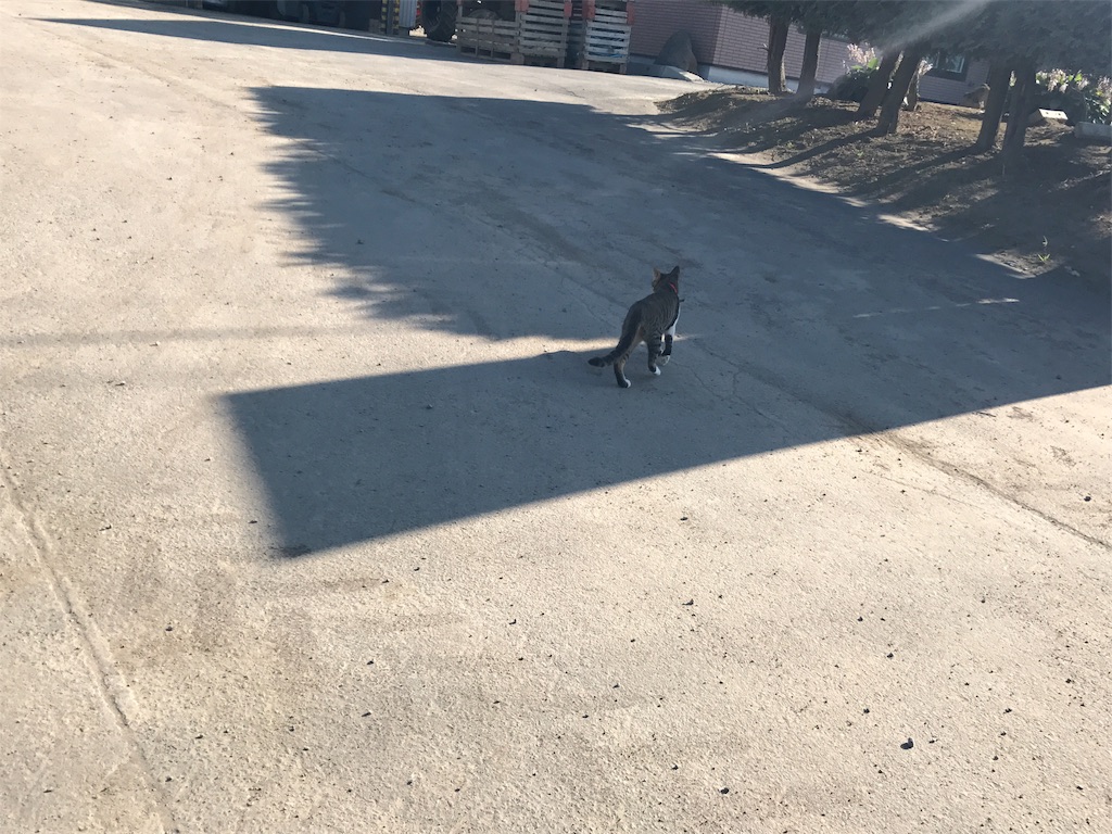 f:id:kurinikomi-hara:20171004172026j:image