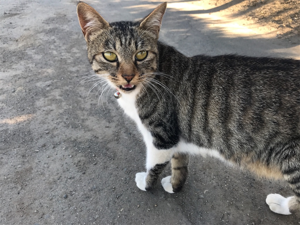 f:id:kurinikomi-hara:20171004172108j:image