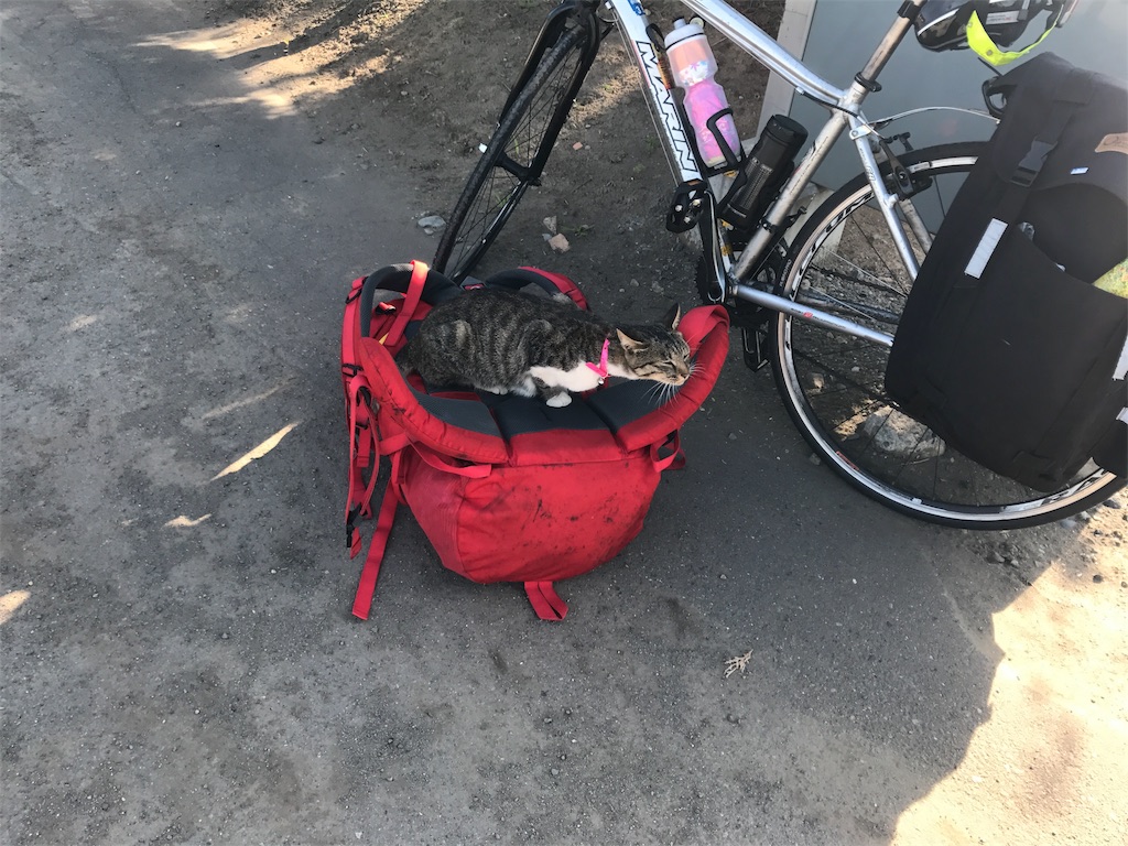 f:id:kurinikomi-hara:20171004172210j:image