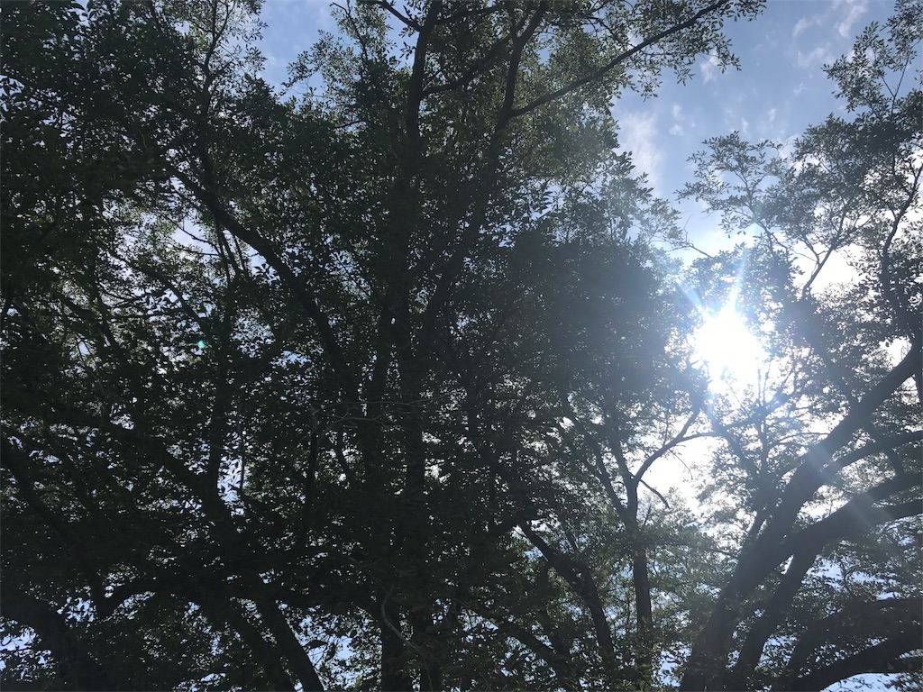 f:id:kurinikomi-hara:20171006114331j:image