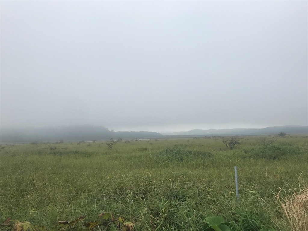 f:id:kurinikomi-hara:20171006120509j:image