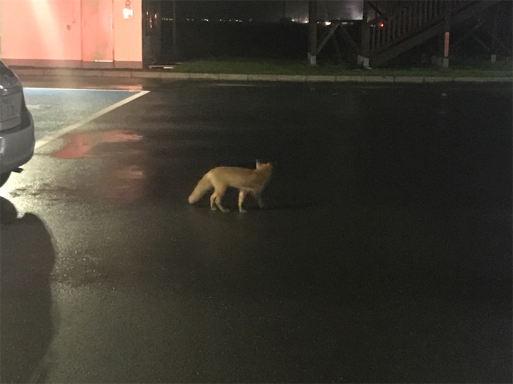 f:id:kurinikomi-hara:20171006122018j:image